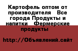 Картофель оптом от производителя - Все города Продукты и напитки » Фермерские продукты   